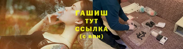 хмурый Пересвет