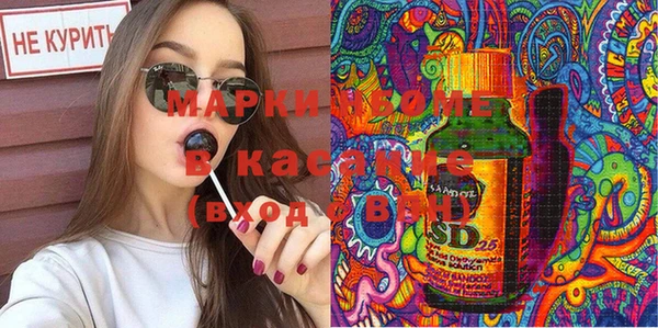 хмурый Пересвет