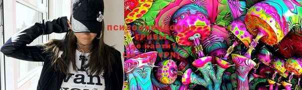 хмурый Пересвет