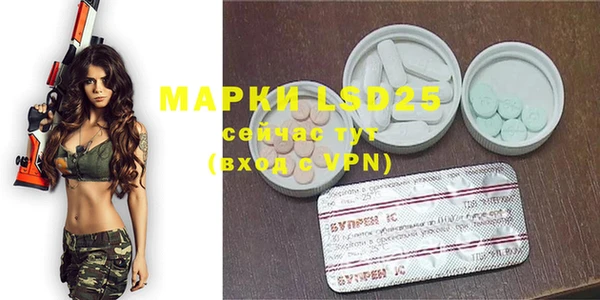 хмурый Пересвет